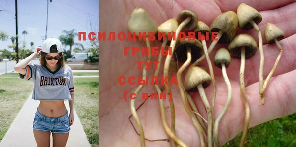 ECSTASY Горнозаводск