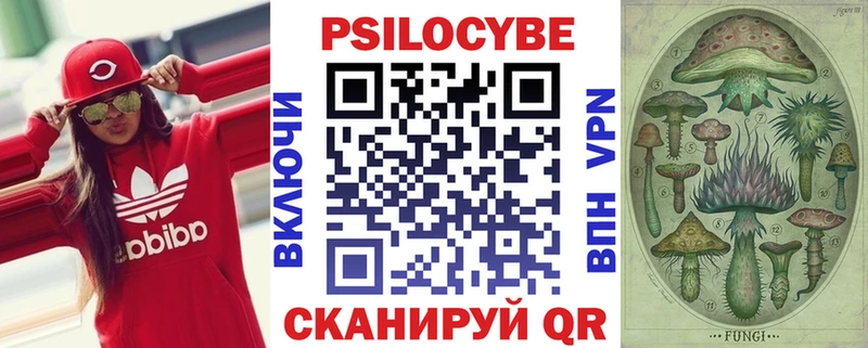 Галлюциногенные грибы Psilocybine cubensis  Заинск 