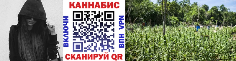 как найти закладки  Заинск  Шишки марихуана Ganja 